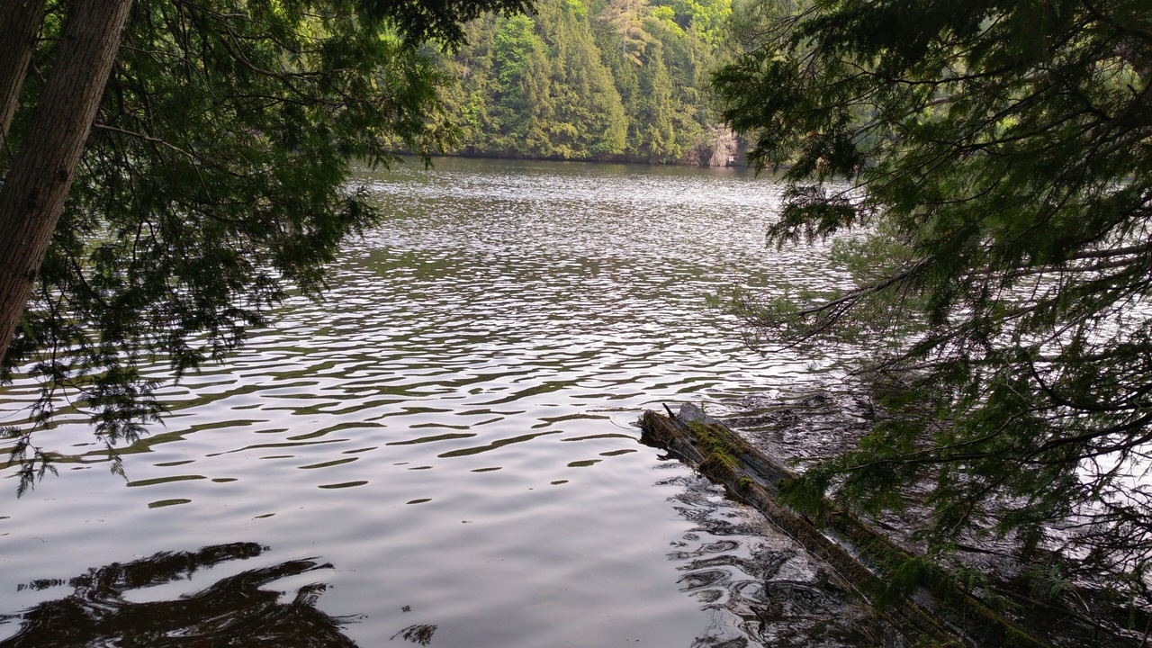 Photo of Others in Greater Madawaska