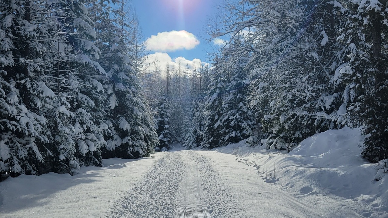 Photo of Others in Creston
