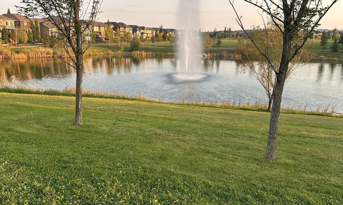 Photo of Others in Southeast Calgary
