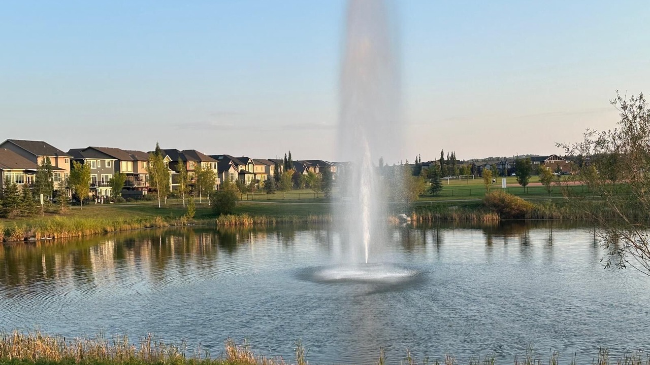 Photo of Others in Southeast Calgary