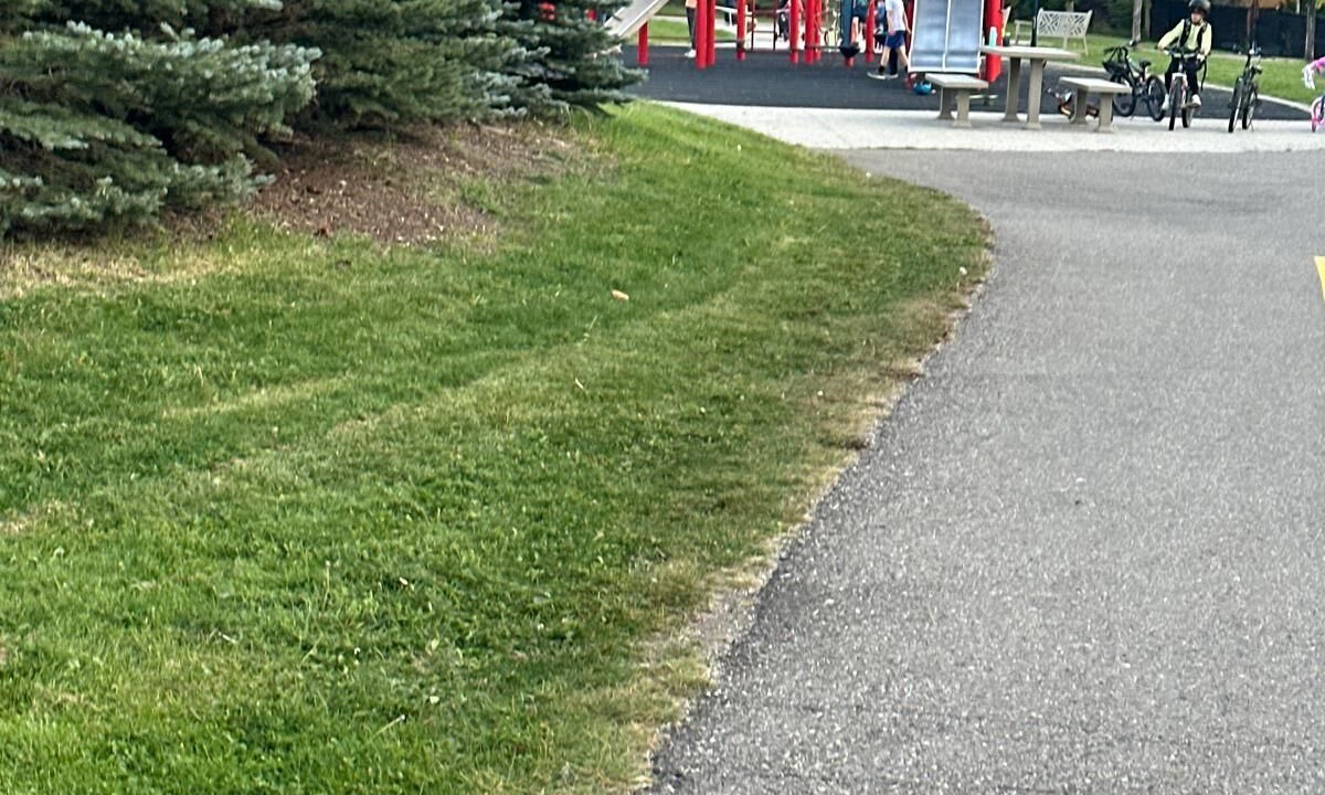 Photo of Others in Southeast Calgary