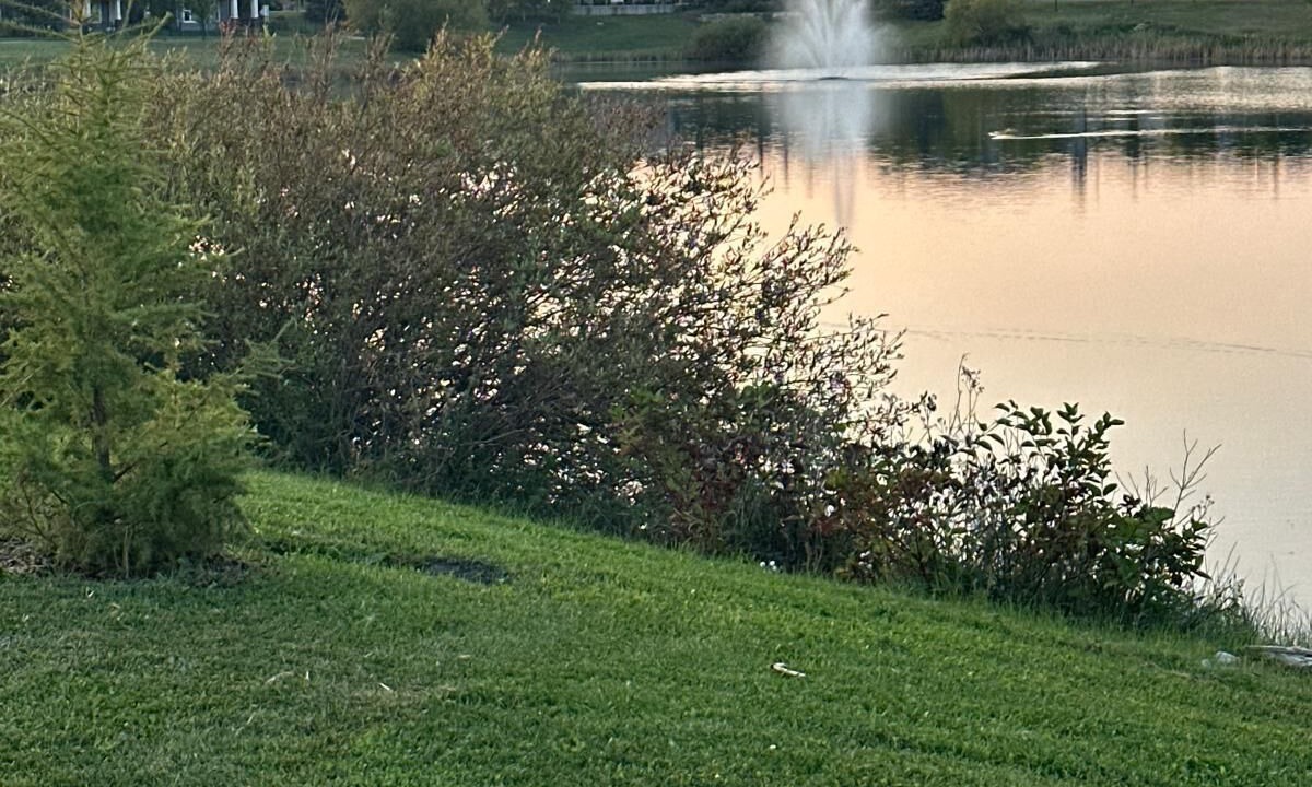 Photo of Others in Southeast Calgary