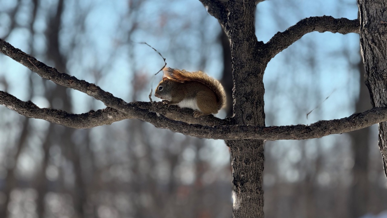Photo of Others in Central Frontenac