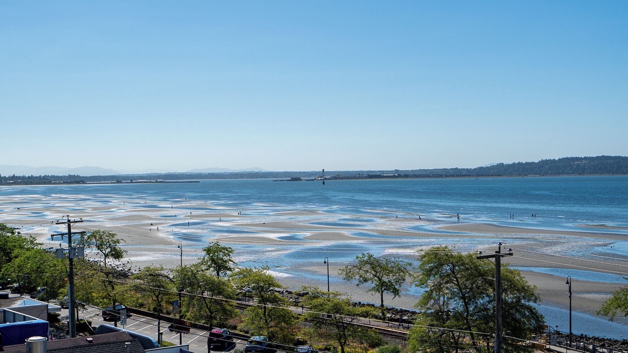 Photo of Others in White Rock