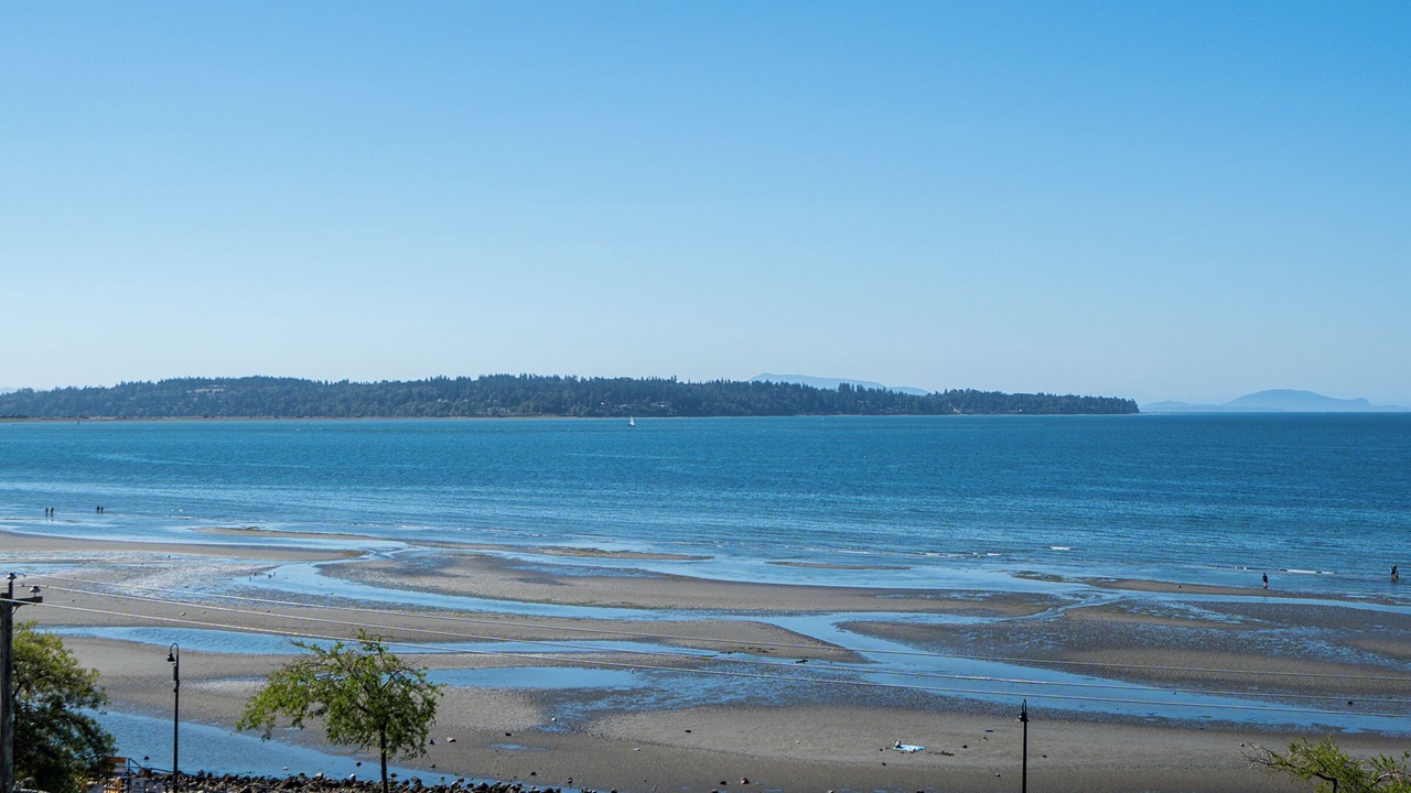 Photo of Others in White Rock
