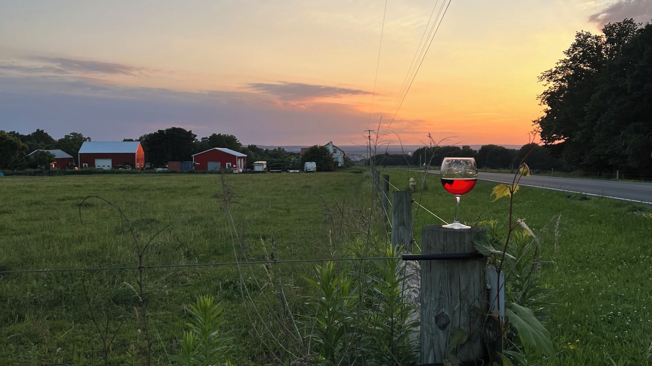 Photo of Outdoor in Hector