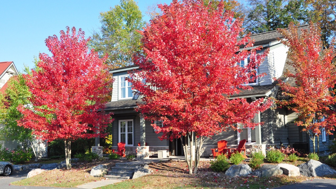 Photo of Outdoor in Seguin