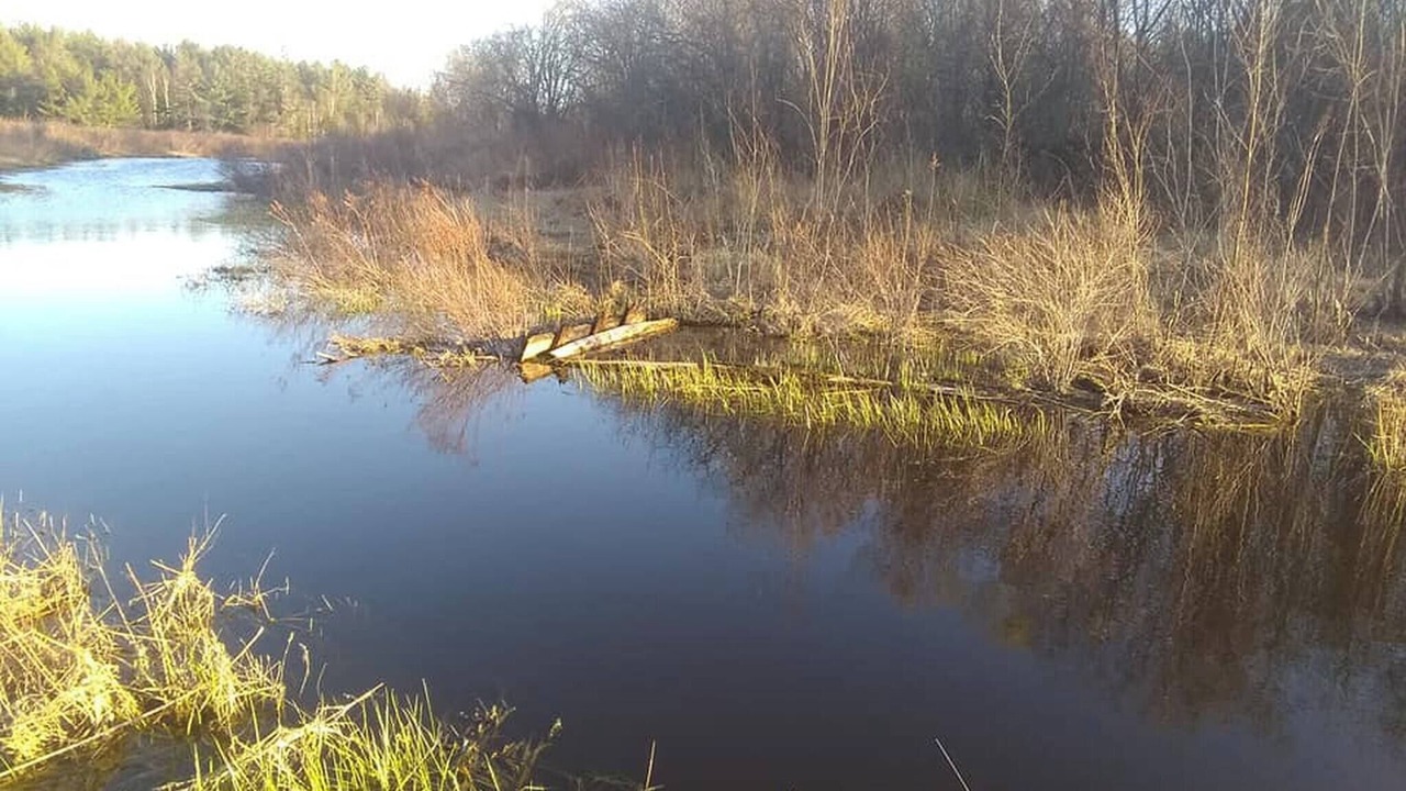 Photo of Others in French River
