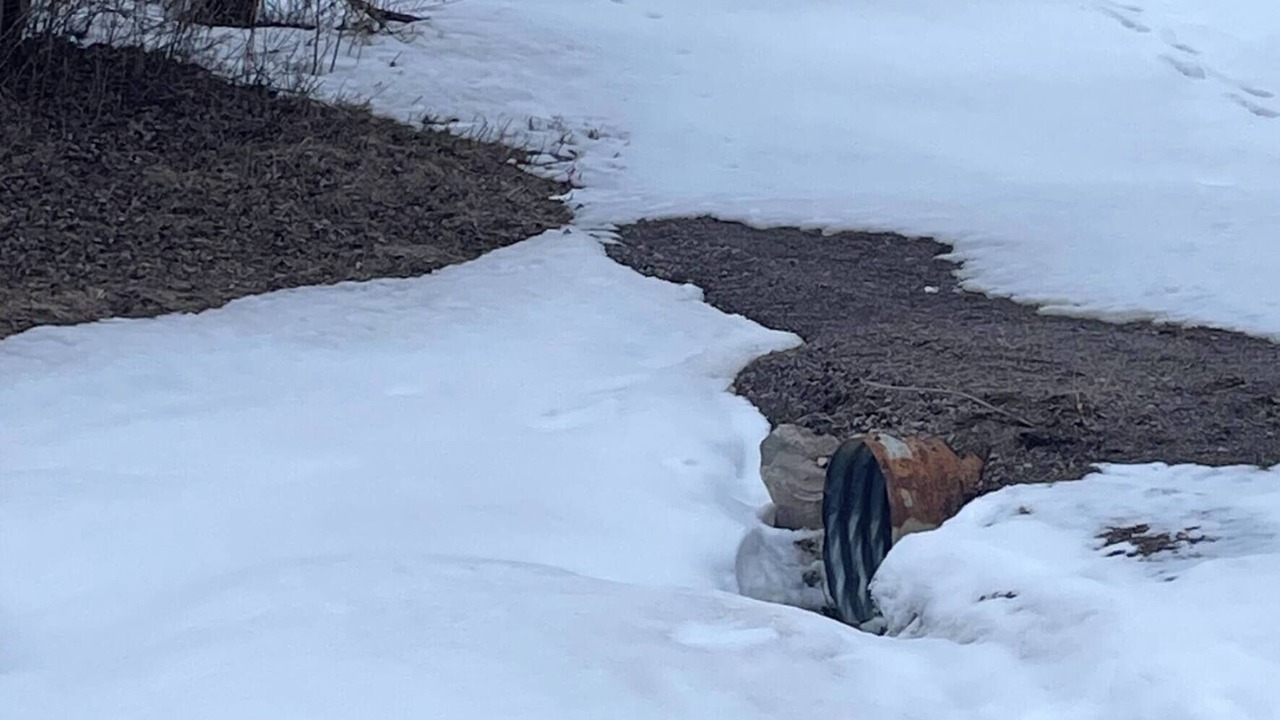 Photo of Others in French River