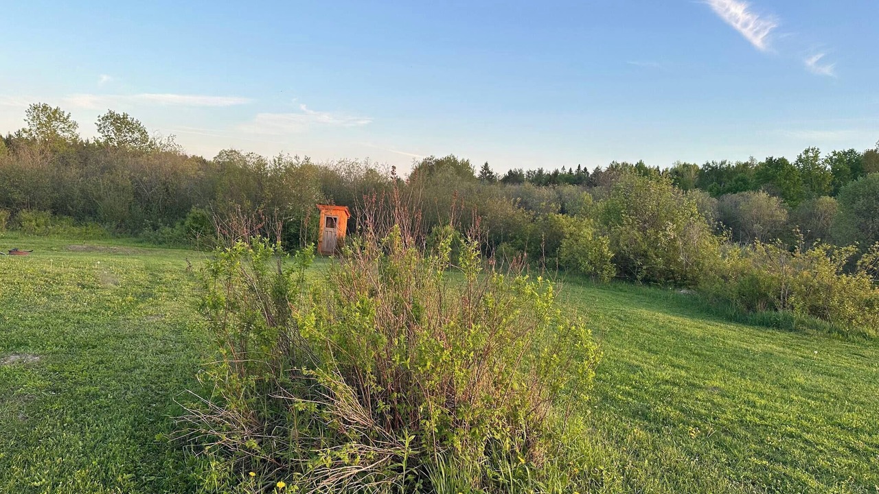 Photo of Outdoor in French River