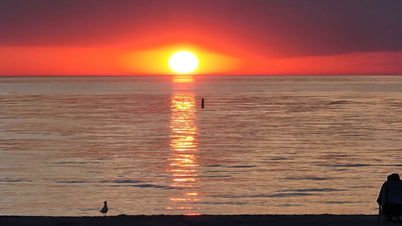 Photo of Others in Wasaga Beach