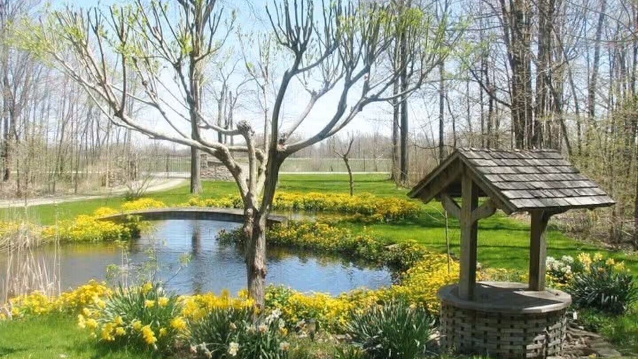 Photo of Outdoor in Welland