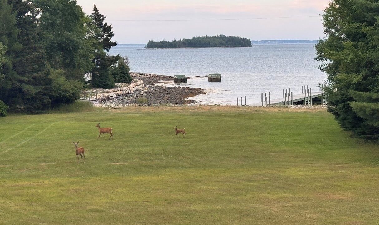 Photo of Others in Mahone Bay