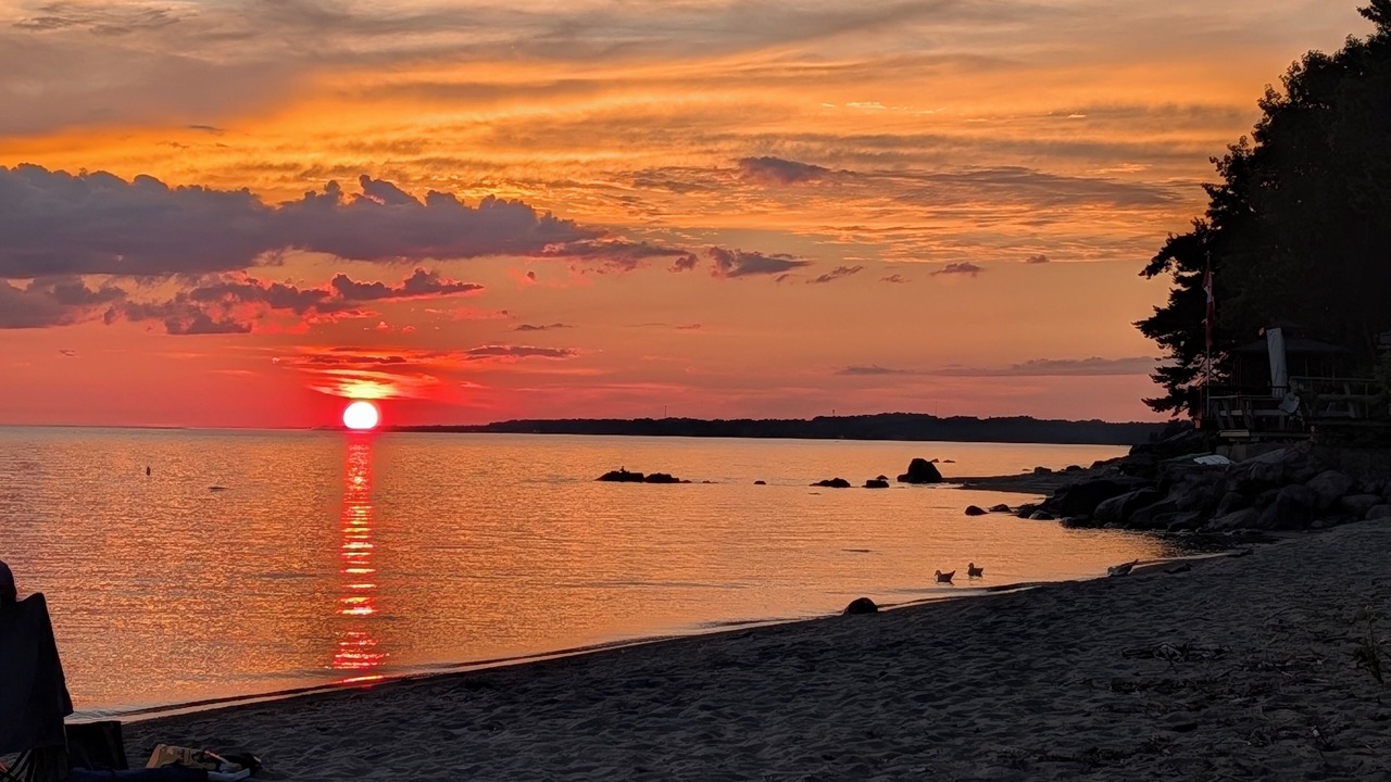 Photo of Others in Balm Beach