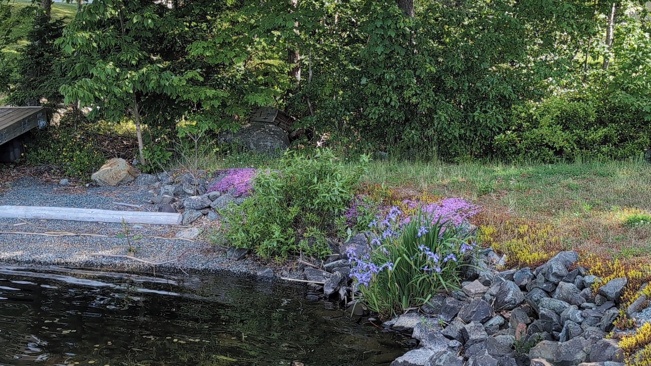 Photo of Outdoor in Dartmouth
