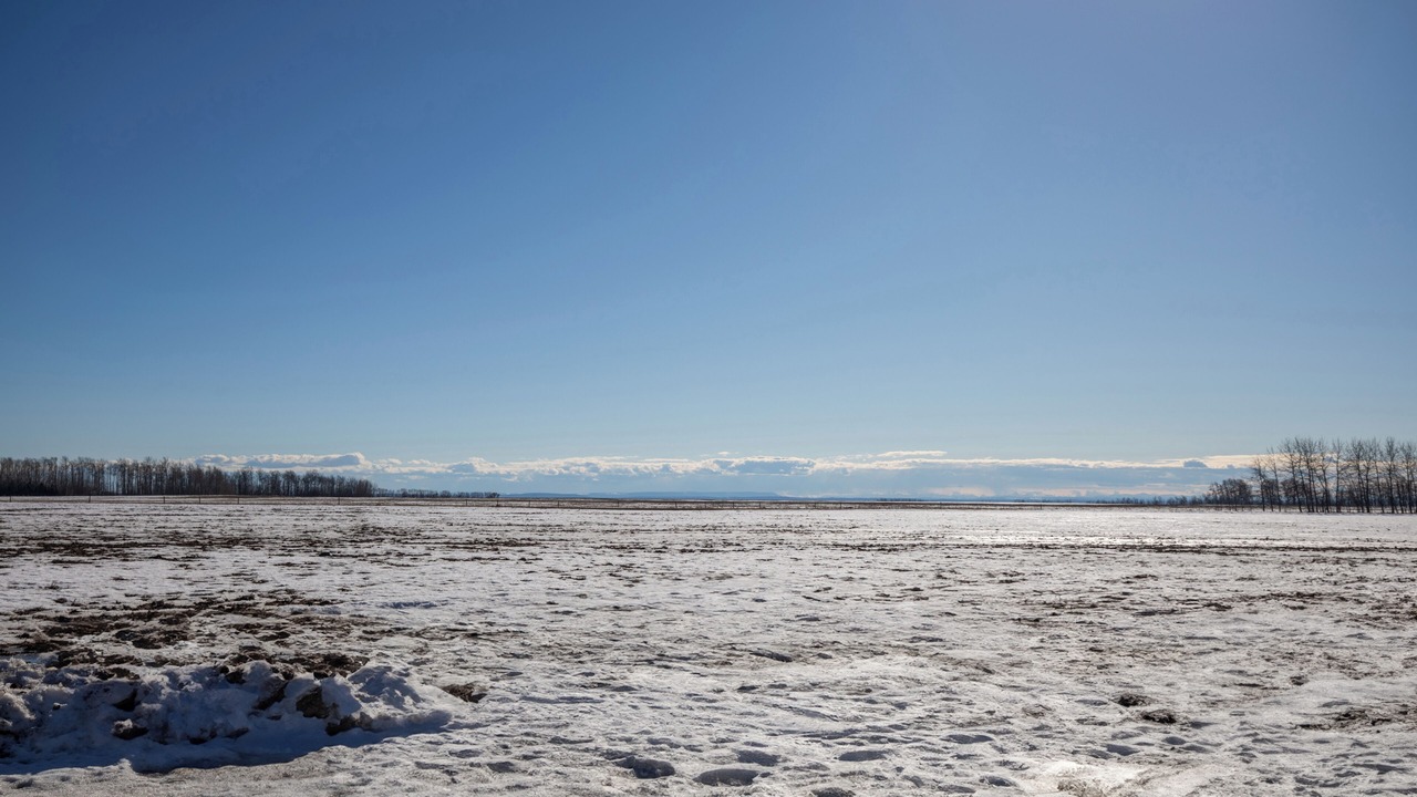 Photo of Others in Northern Alberta
