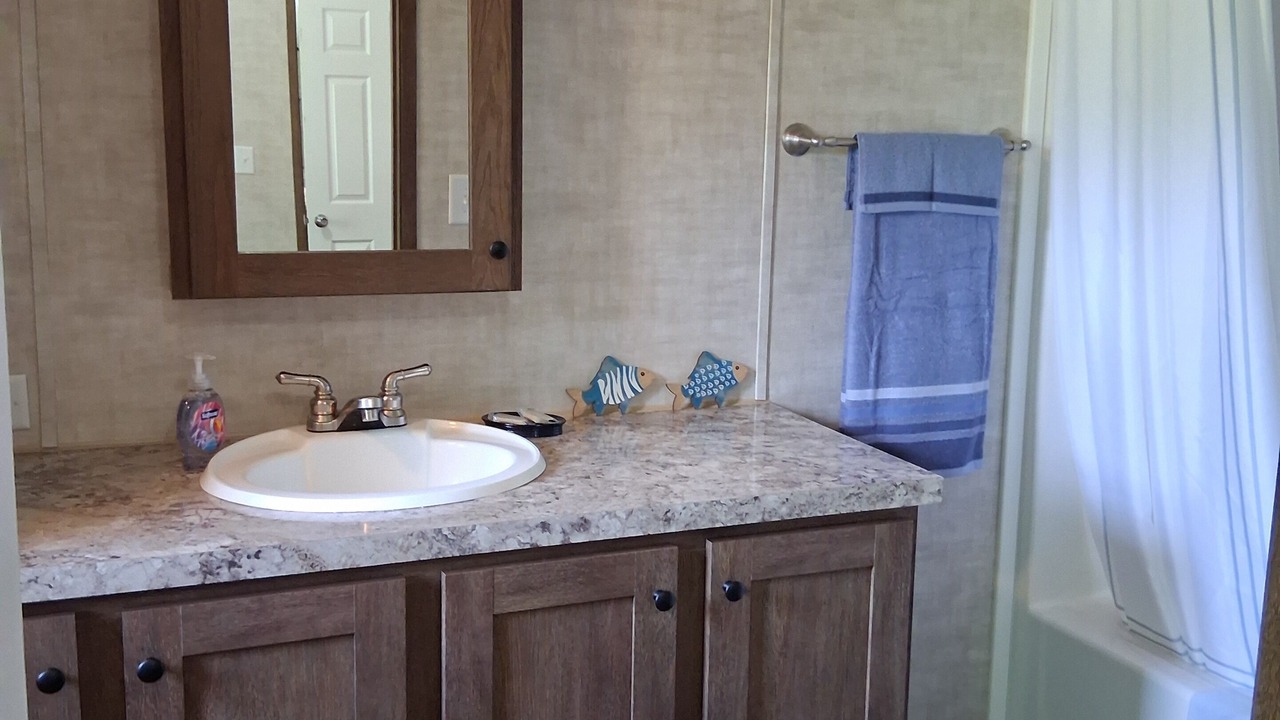 Photo of Bathroom in Pulaski