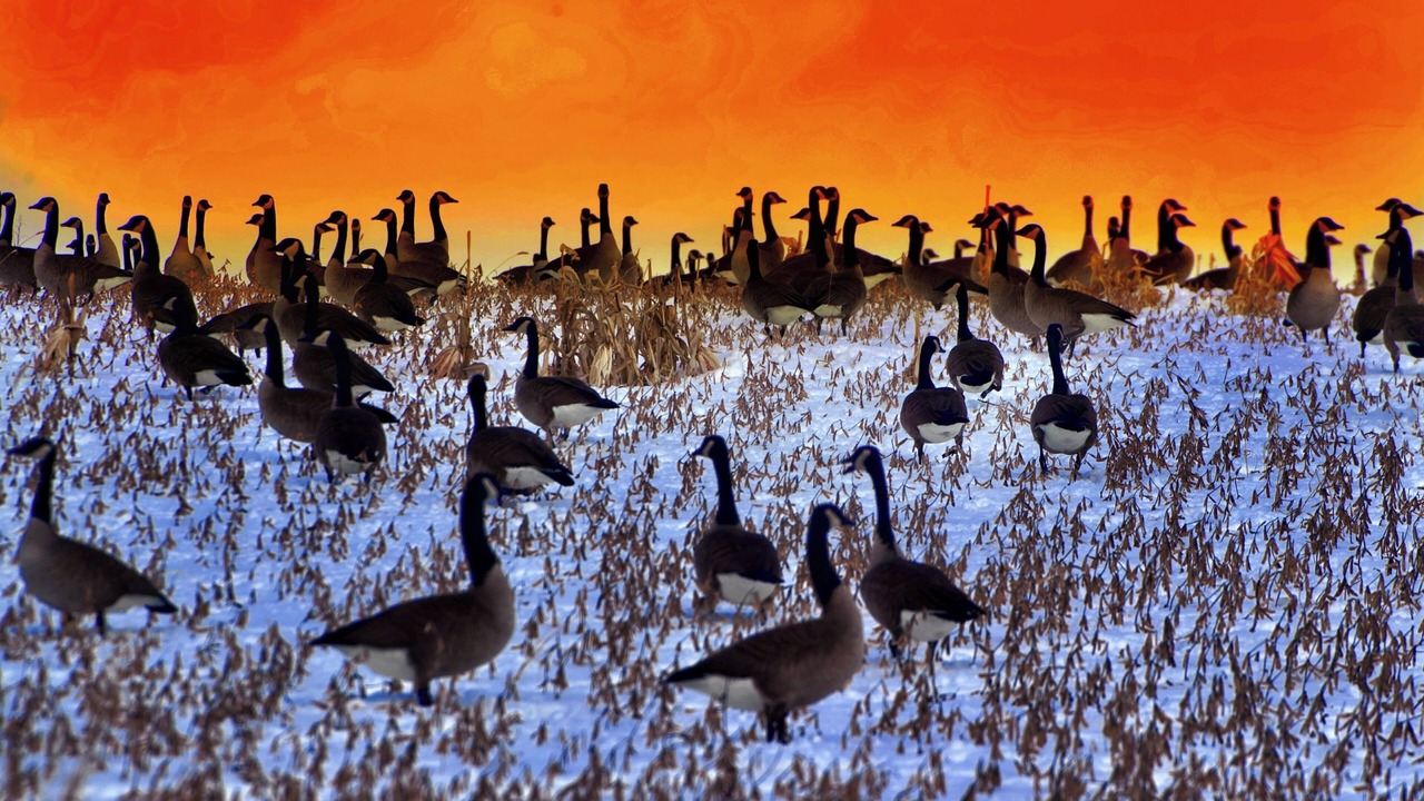 Photo of Others in Durham Region