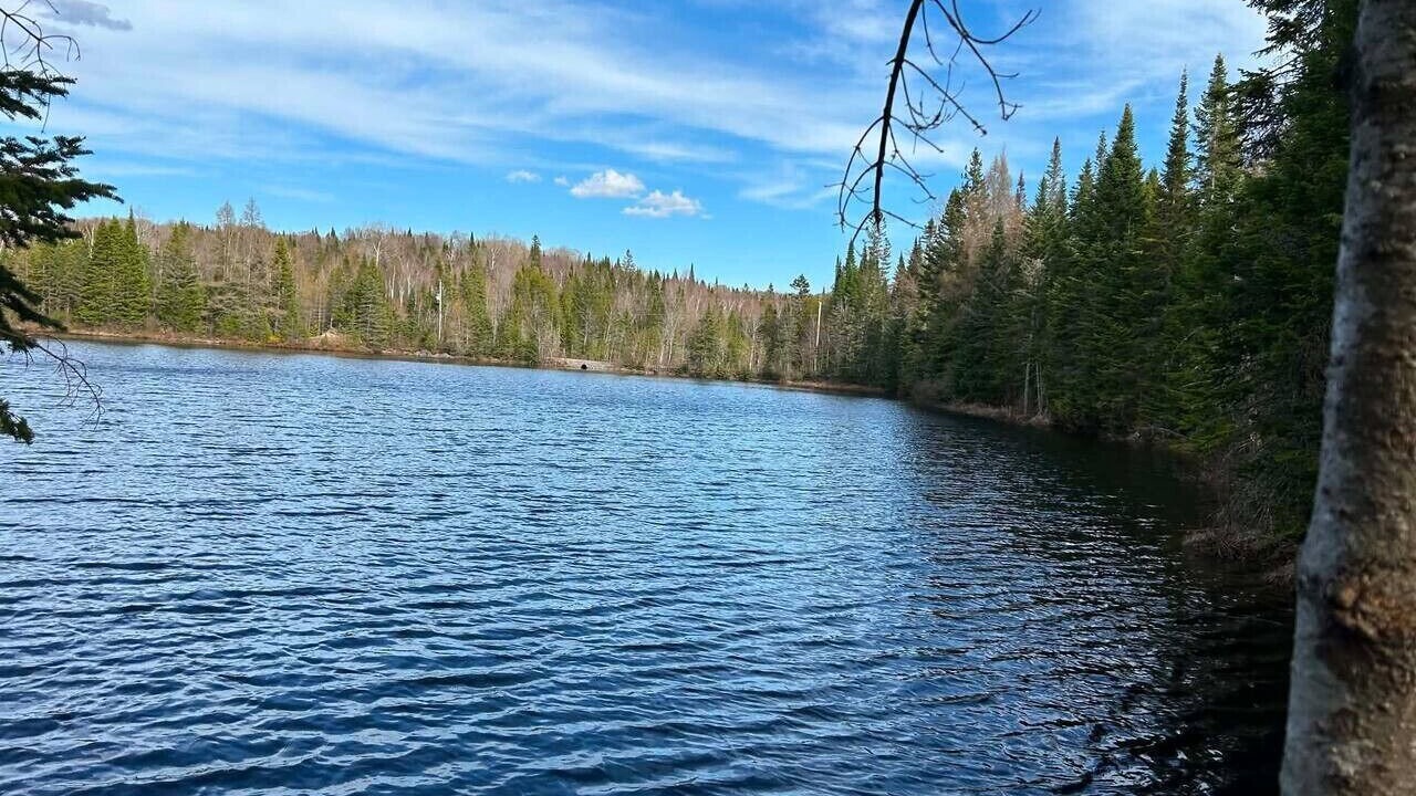 Photo of Others in Lac-Swell