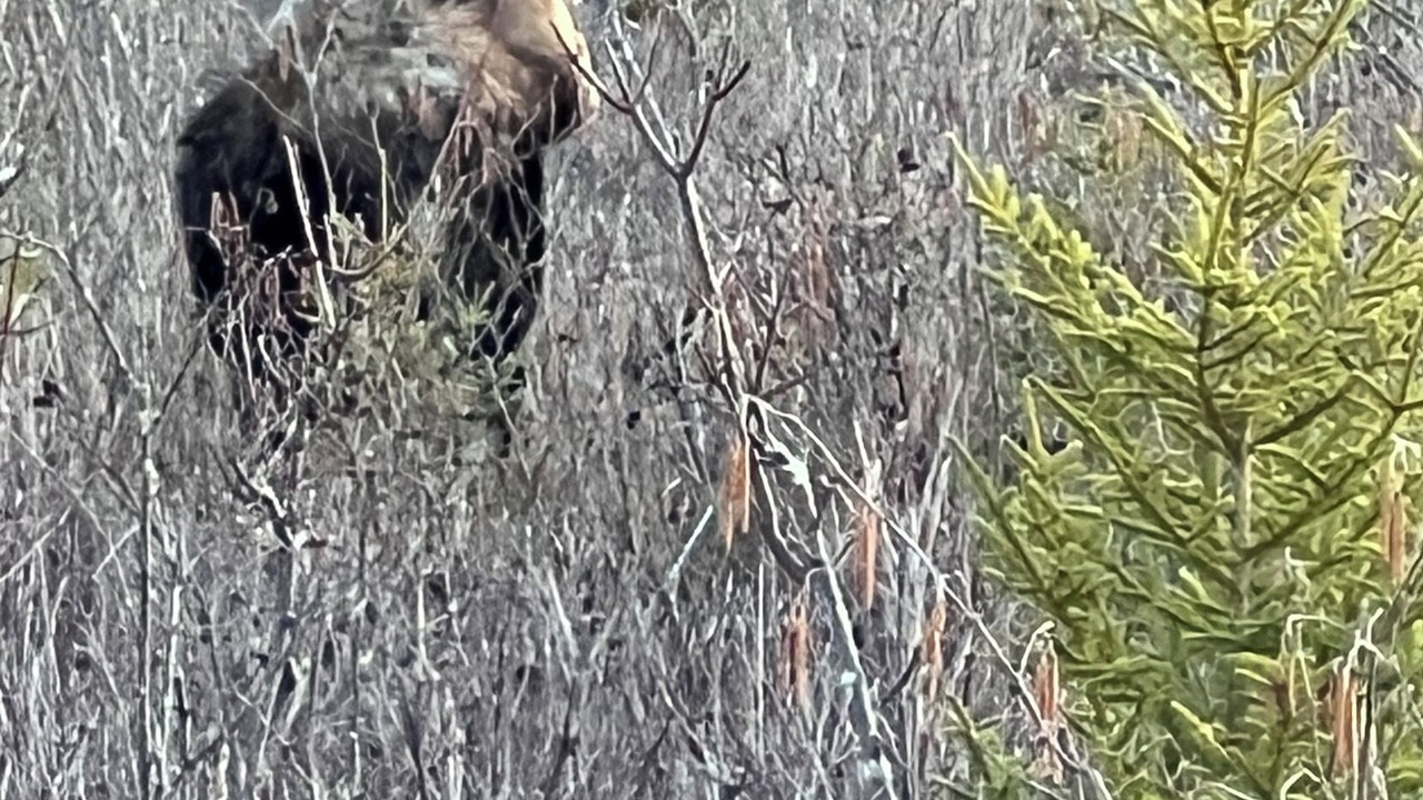 Photo of Others in Bloomfield Ridge