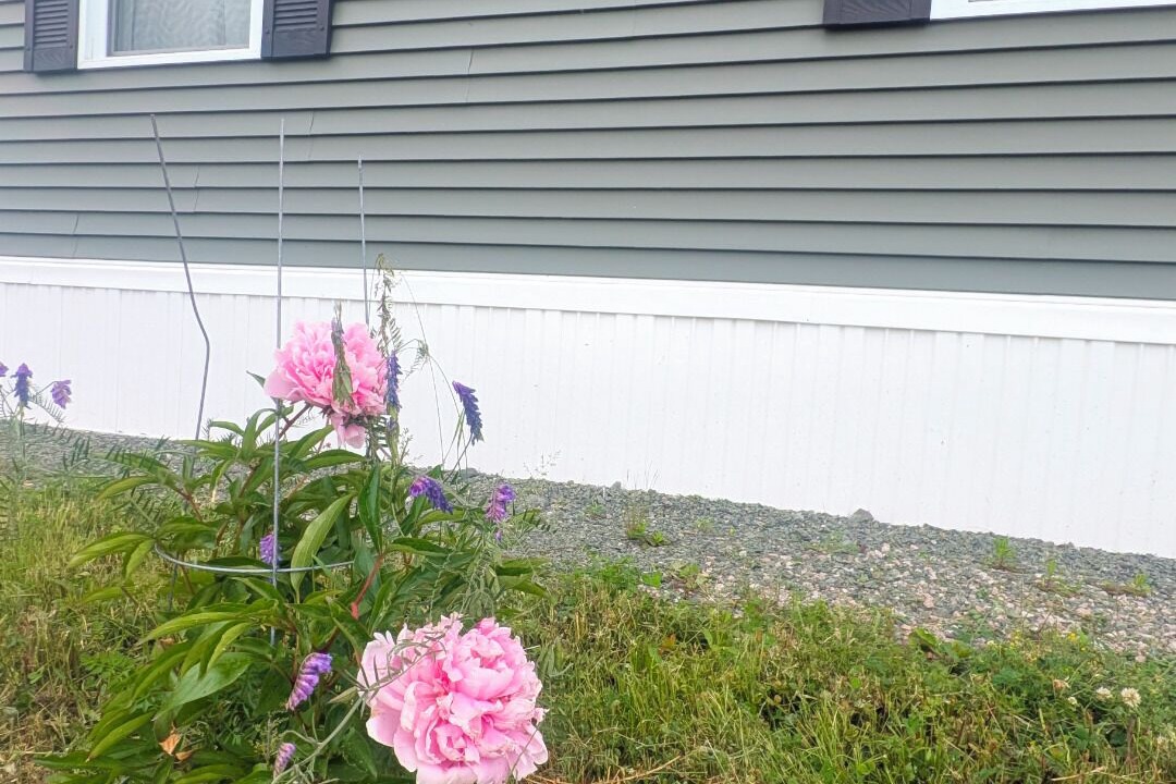 Photo of Outdoor in Glace Bay