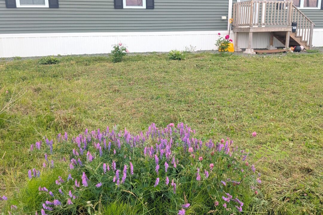 Photo of Outdoor in Glace Bay