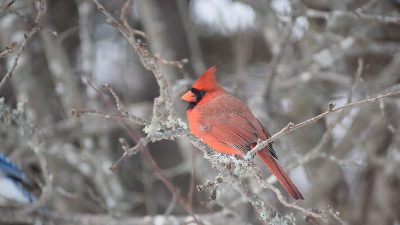 Photo of Others in Pictou County