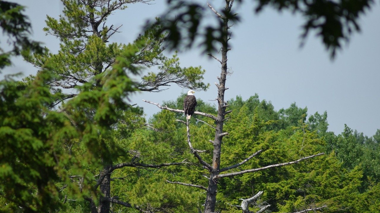 Photo of Others in Pictou County