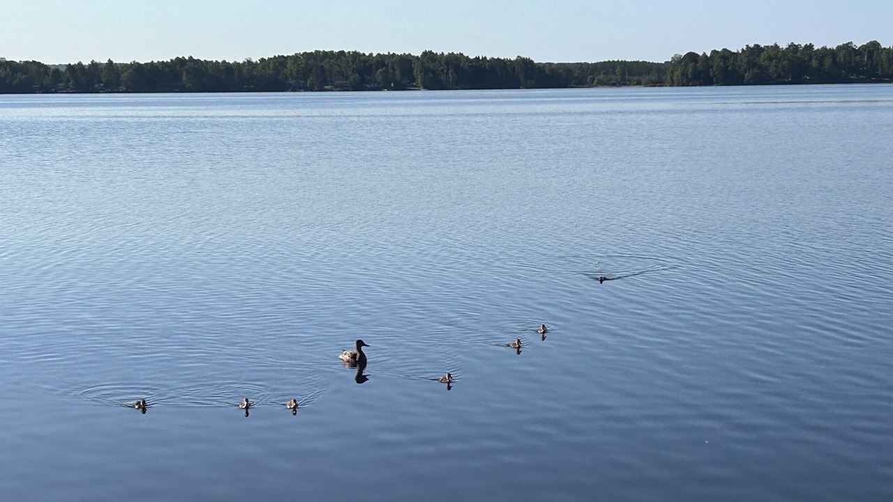 Photo of Others in Chisholm