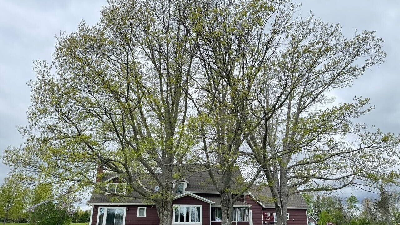 Photo of Outdoor in Montague