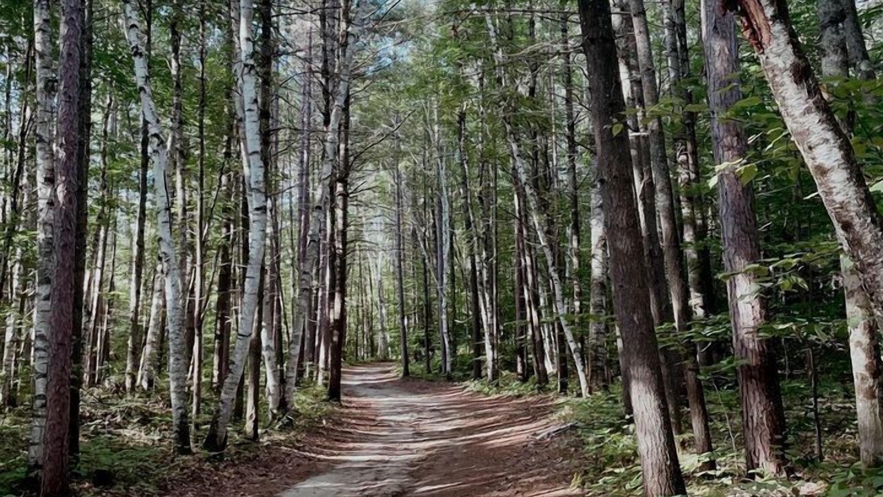 Photo of Others in Laurentian Hills
