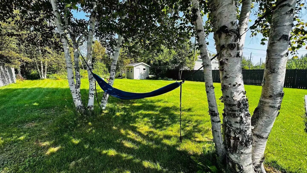 Photo of Outdoor in Grand Falls - Windsor