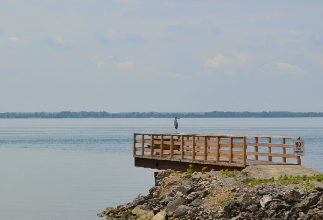 Photo of Others in Marblehead