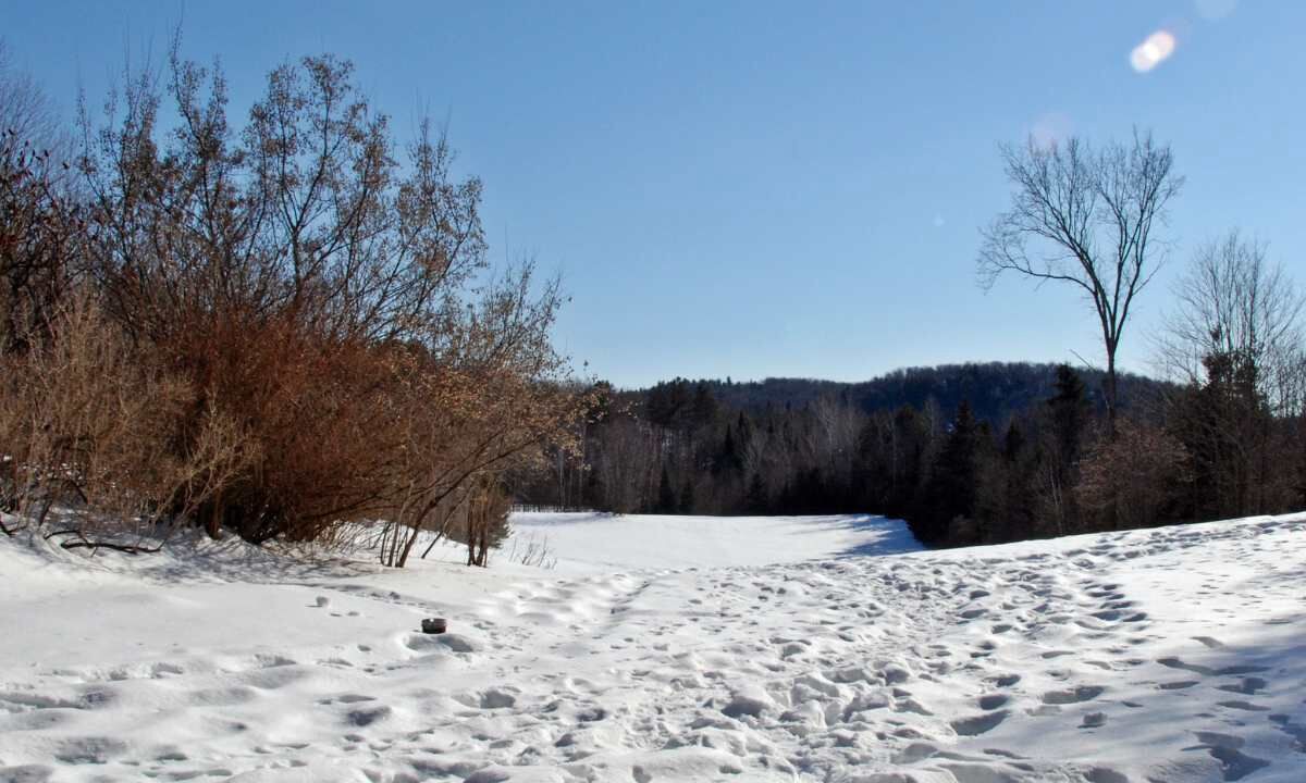 Photo of Others in La Peche