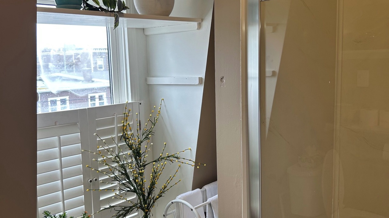 Photo of Bathroom in Downtown St. John's