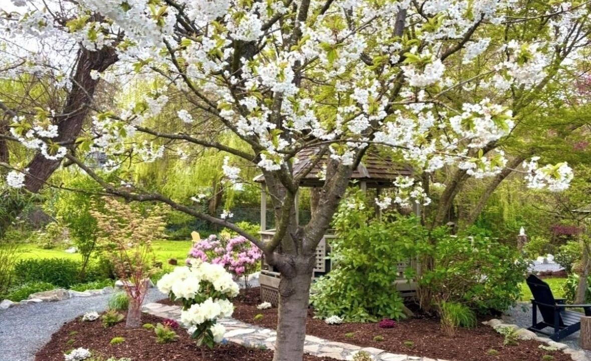 Photo of Outdoor in Chemainus