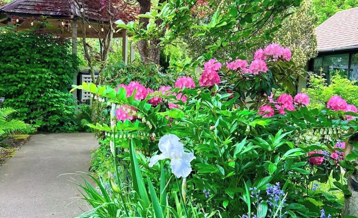 Photo of Outdoor in Chemainus
