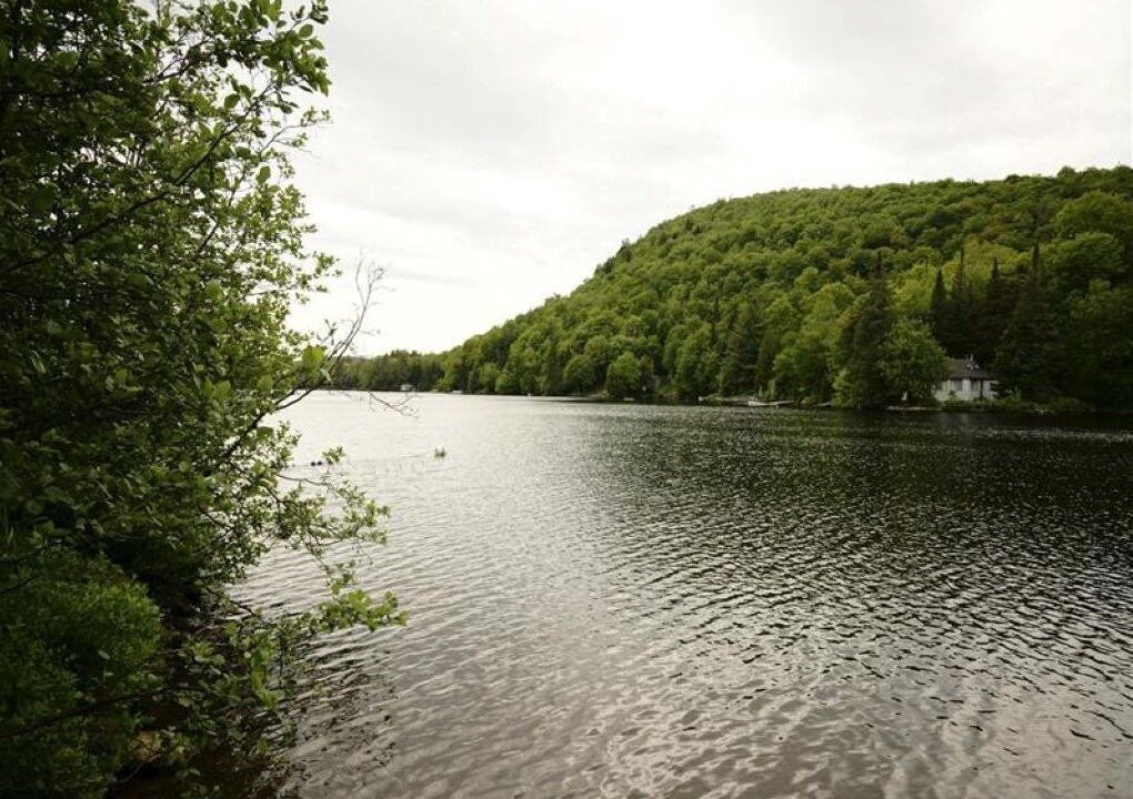 Photo of Others in Wentworth-Nord