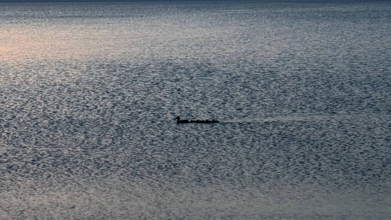 Photo of Others in Georgina