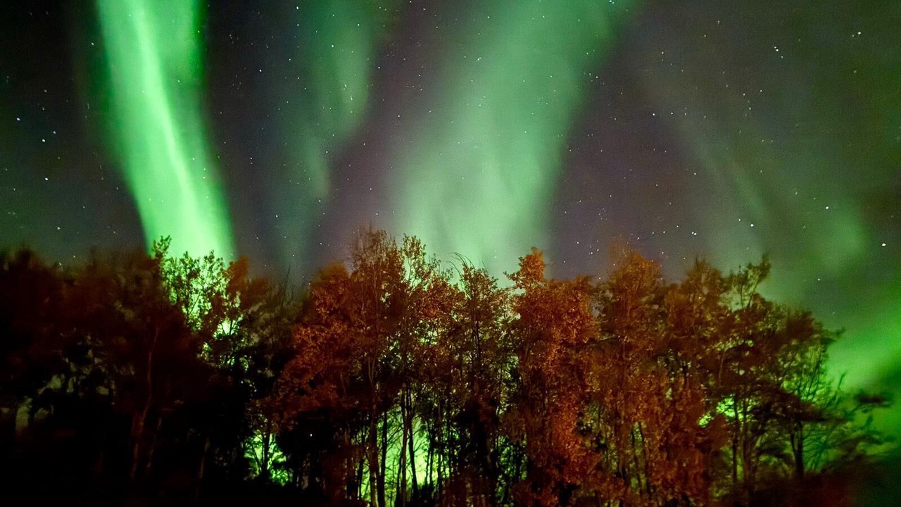 Photo of Others in Central Alberta