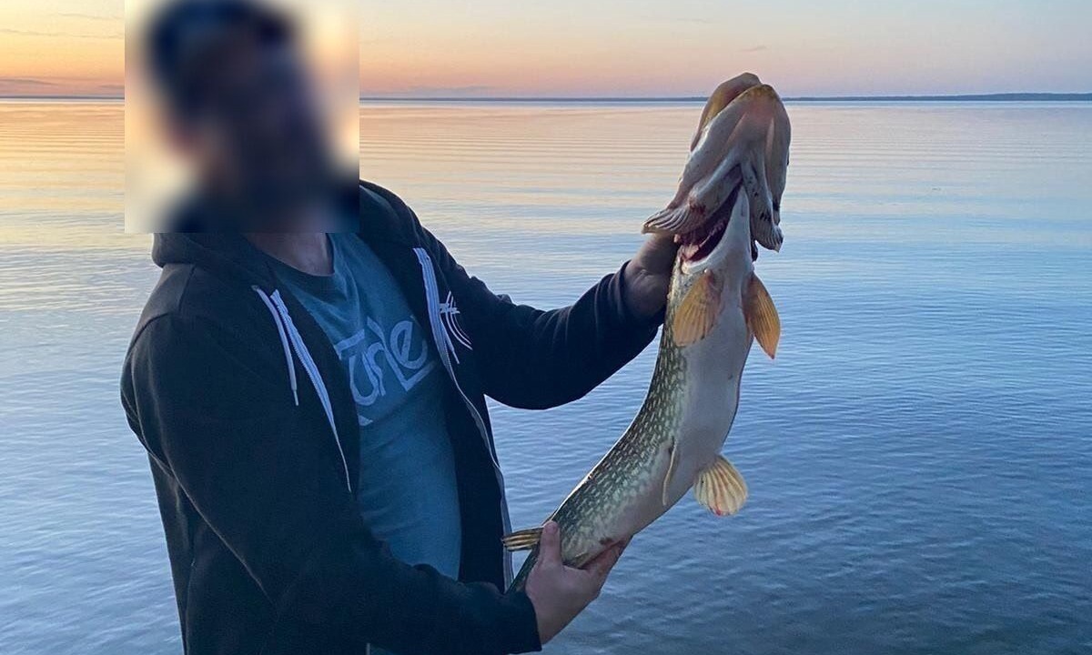 Photo of Others in Central Alberta
