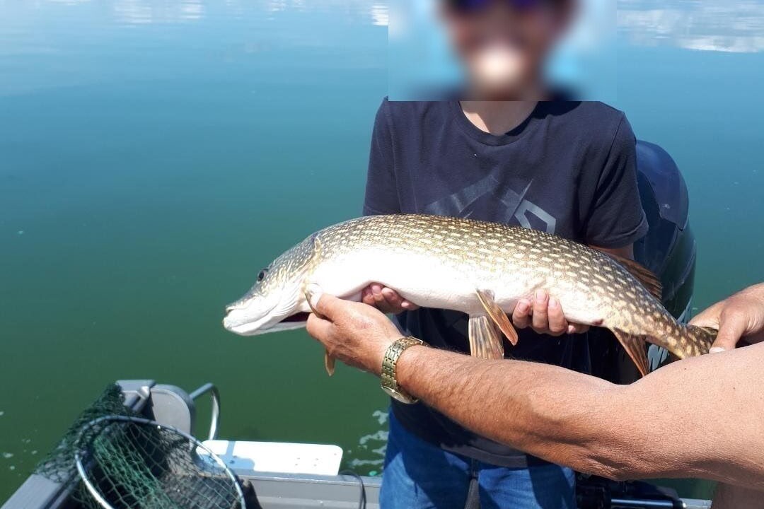 Photo of Others in Central Alberta
