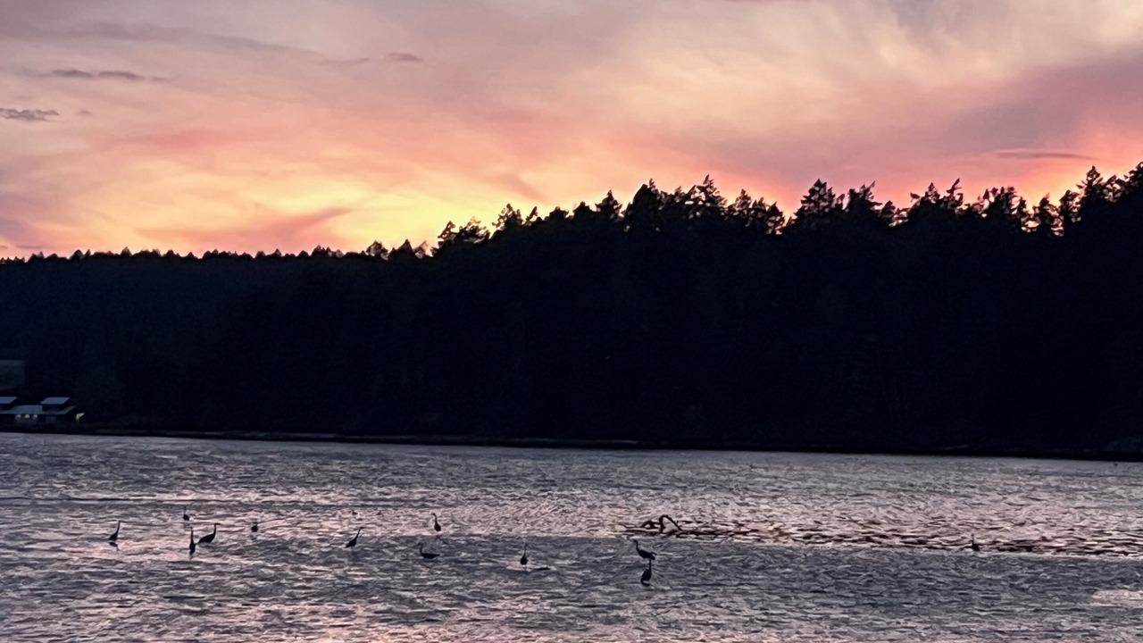 Photo of Others in Colwood