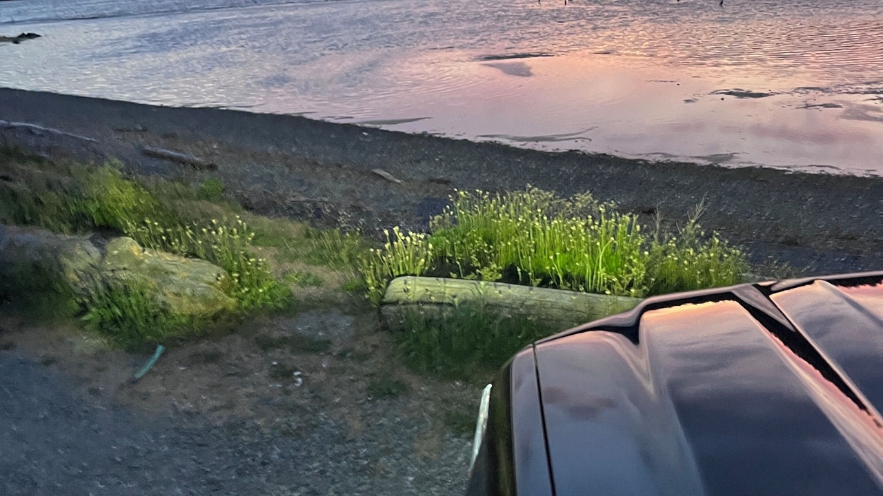 Photo of Others in Colwood