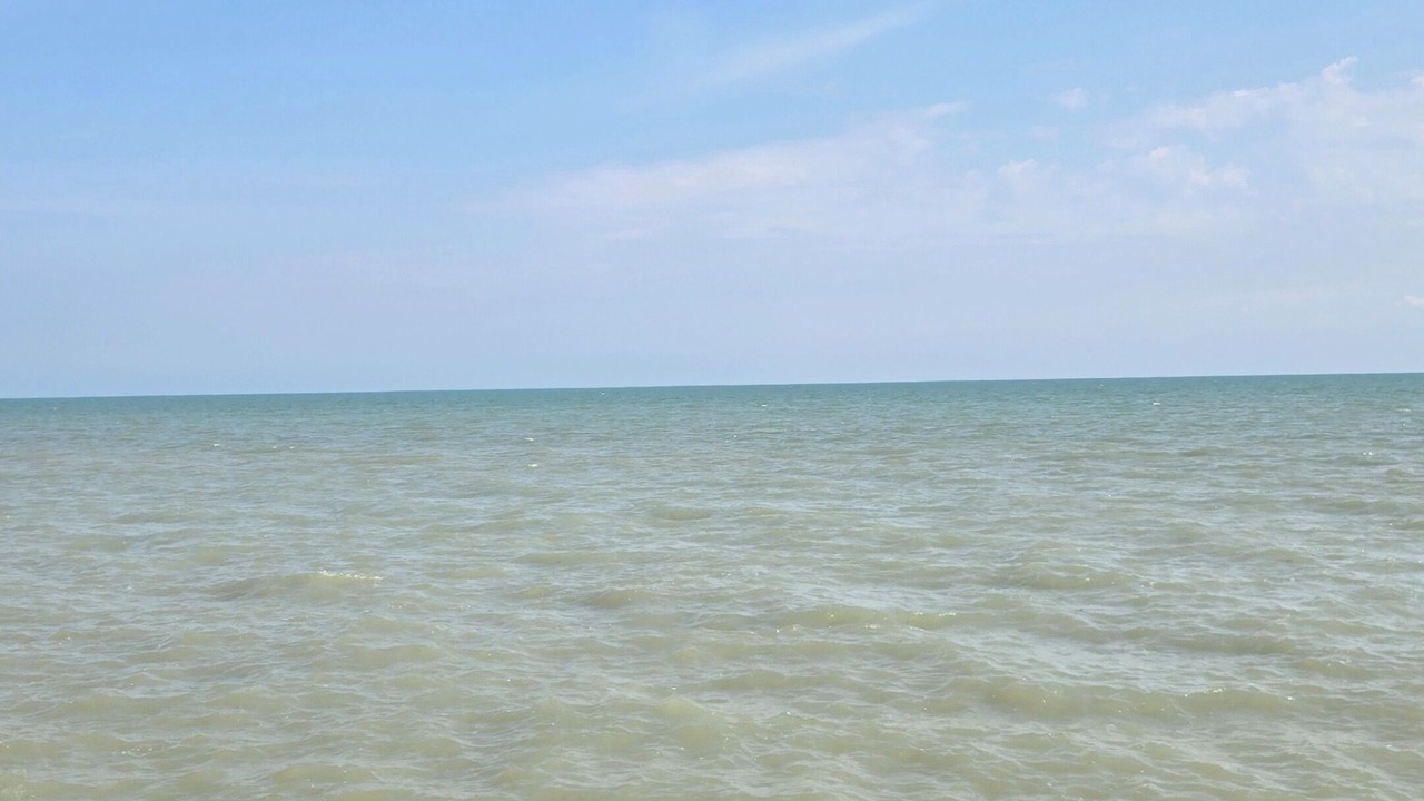 Photo of Others in Kingsville