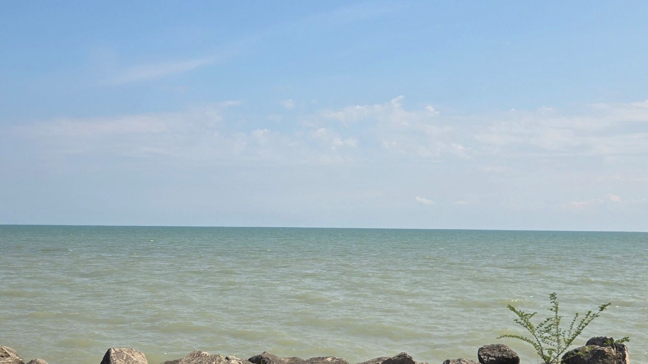 Photo of Others in Kingsville