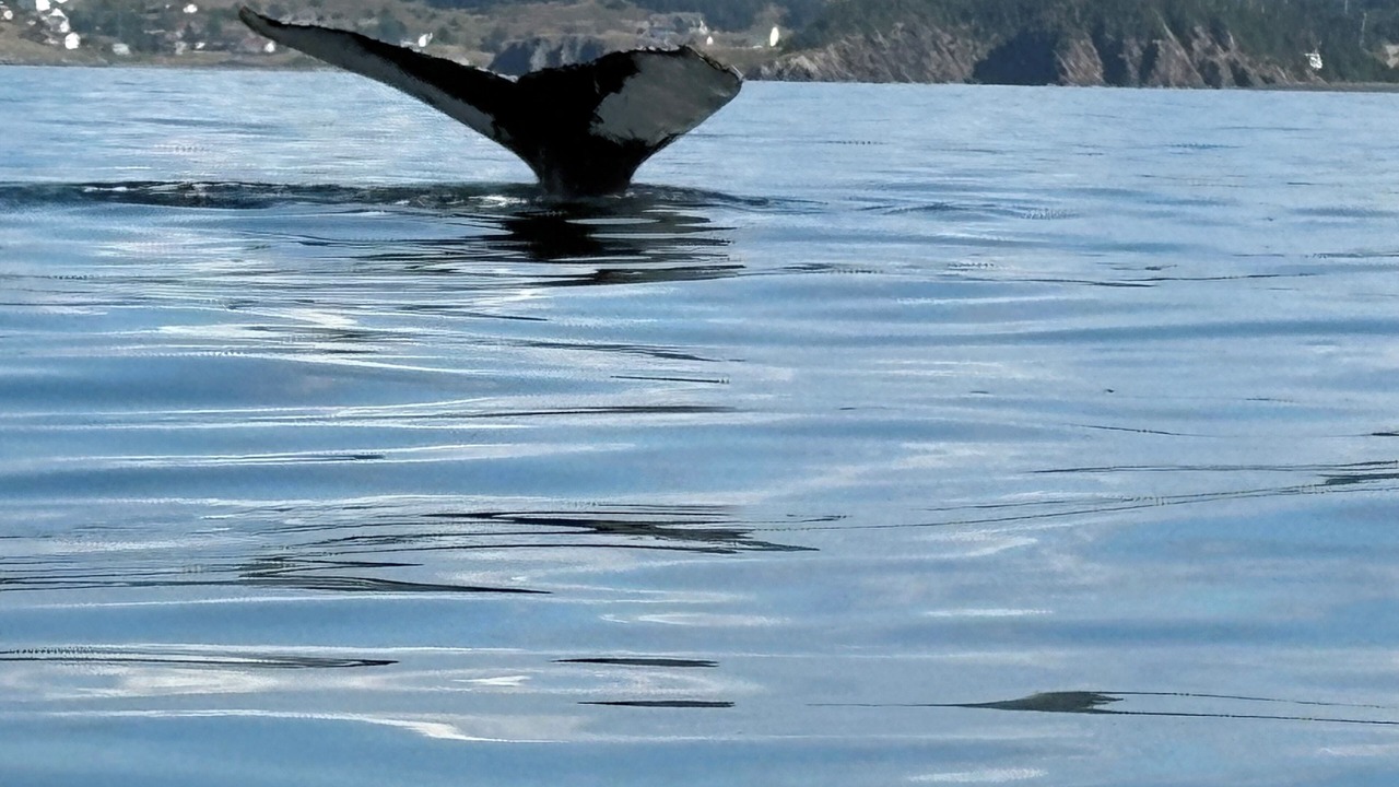 Photo of Others in Terra Nova