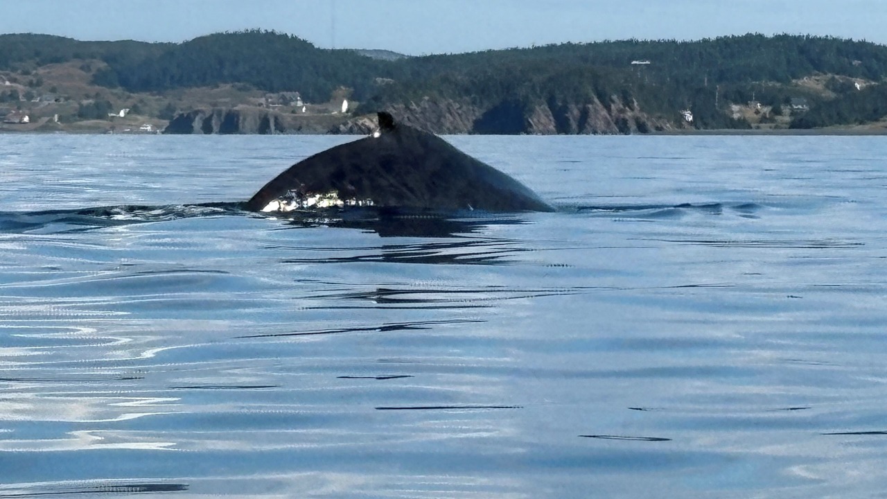 Photo of Others in Terra Nova