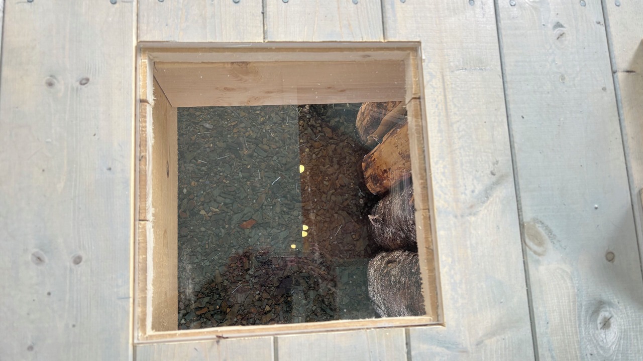 Photo of Outdoor in Terra Nova