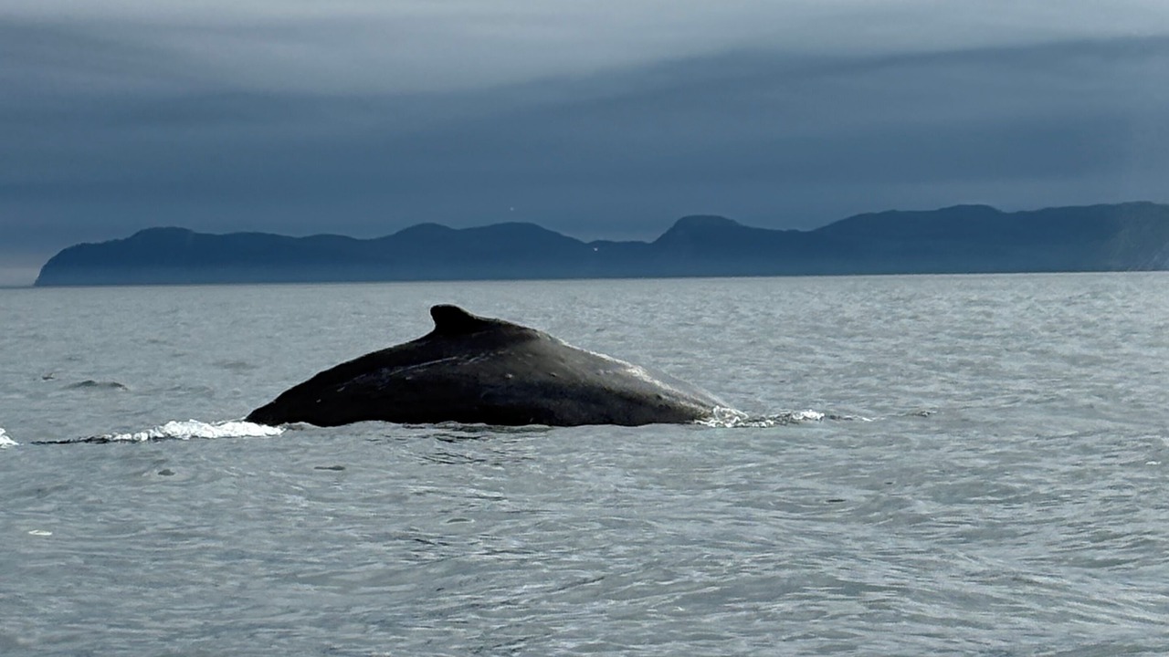 Photo of Others in Terra Nova